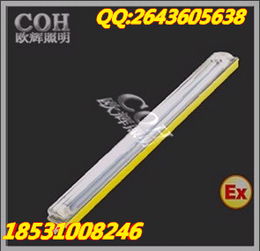 BCX6225粉塵防爆防腐熒光燈產品詳情 鎮(zhèn)流器特性與應用